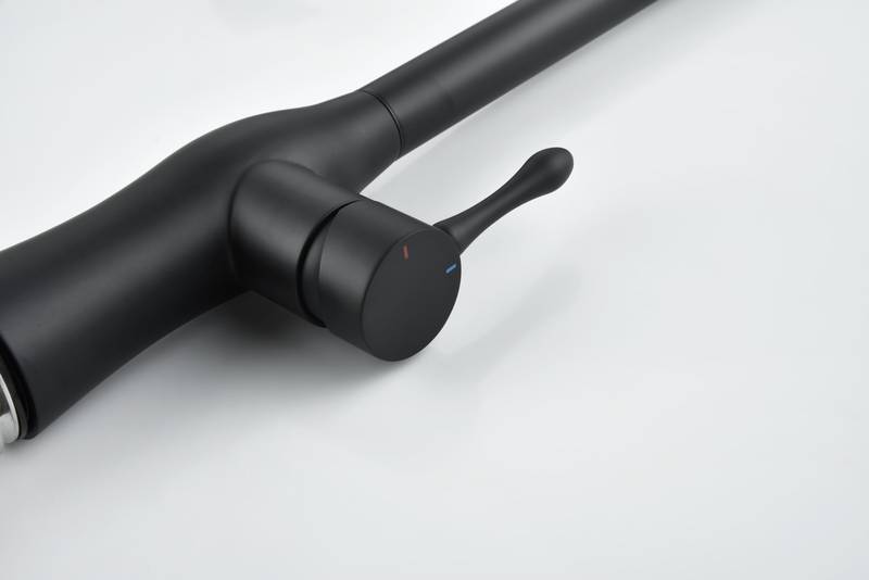 Sleek Matte Black Pull-Down Kitchen Faucet