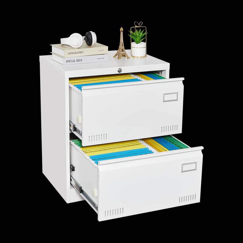 Secure Sleek Filing Cabinet - Stylish 2-Drawer Organizer