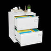 Secure Sleek Filing Cabinet - Stylish 2-Drawer Organizer