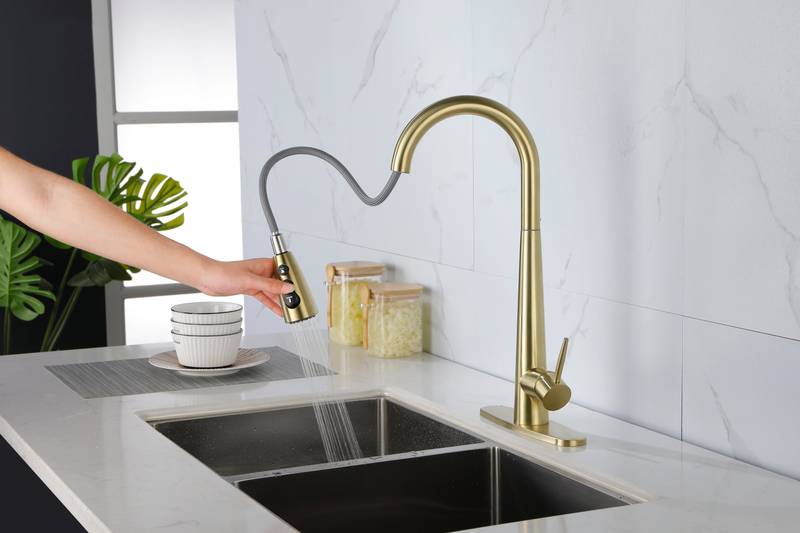 Sleek Pull-Down Kitchen Faucet