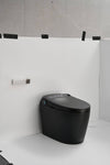Smart Flush Toilet with Remote and Auto Cover