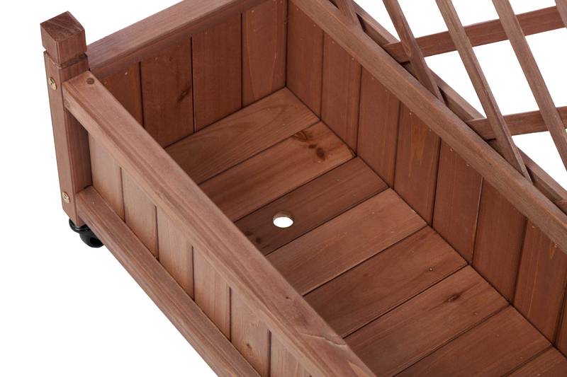 Garden Oasis Duo: Raised Planter with Climbing Trellis