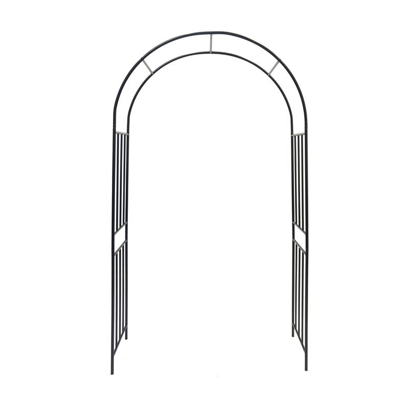 Elegant Climbing Rose Arch