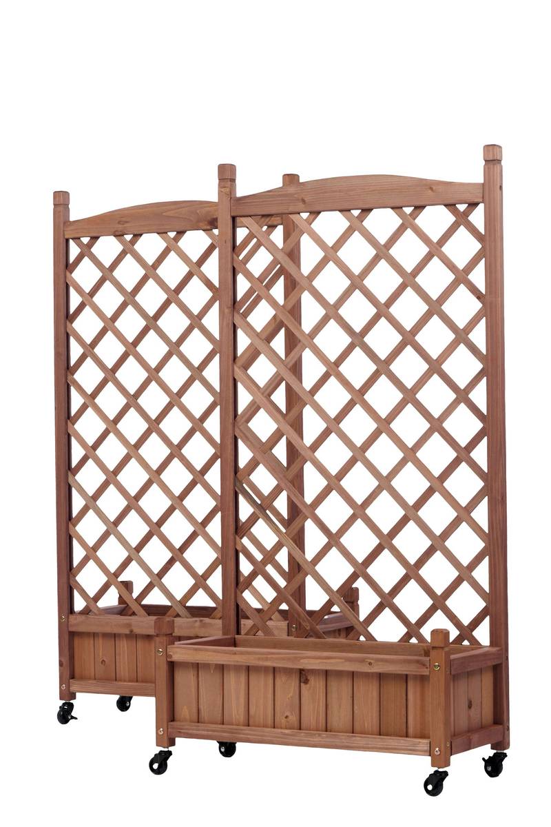 Garden Oasis Duo: Raised Planter with Climbing Trellis
