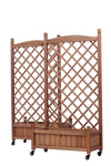 Garden Oasis Duo: Raised Planter with Climbing Trellis