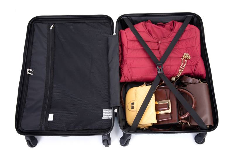 Lightweight Purple Luggage Set with Spinner Wheels