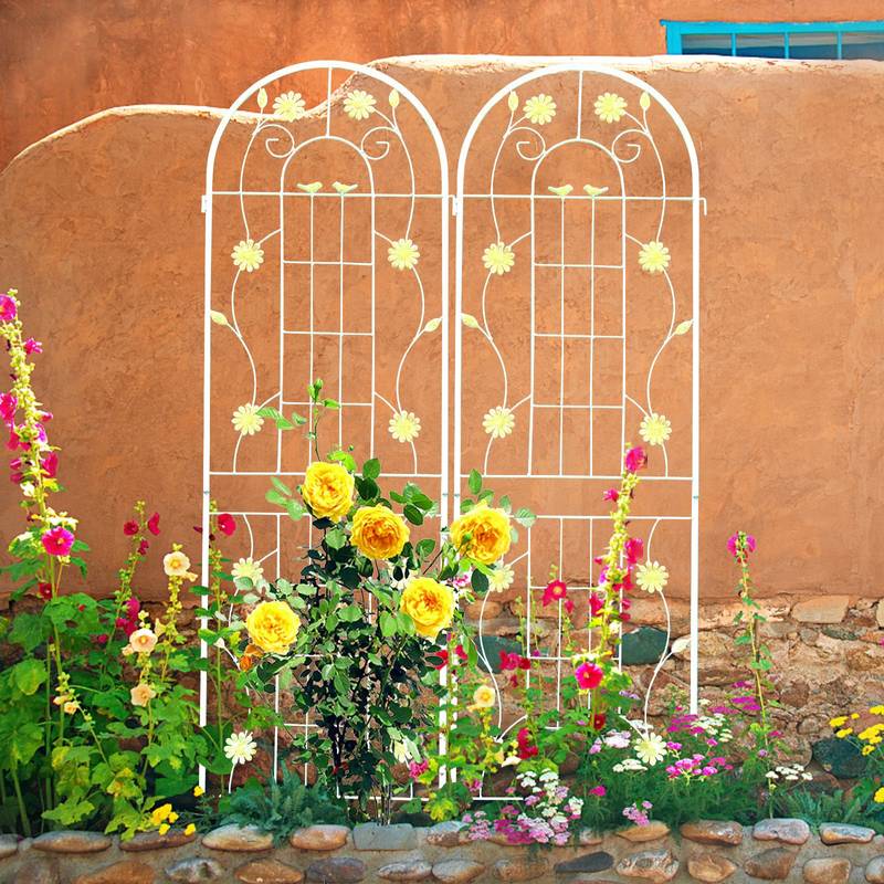 Charming Garden Trellis Set for Climbing Plants