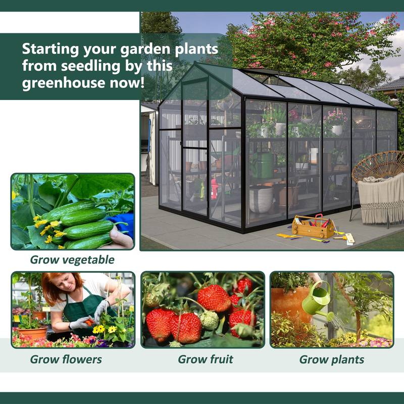 Backyard Oasis Greenhouse Kit