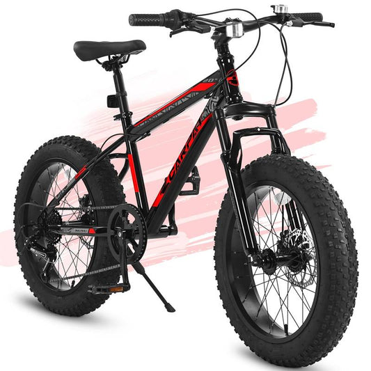 Snow Rider Fat Tire Bike for Kids