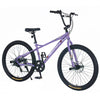 Adventure Ride Kids Bike with Double Brakes