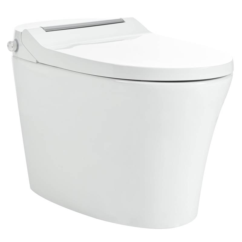 Heated Comfort Smart Toilet