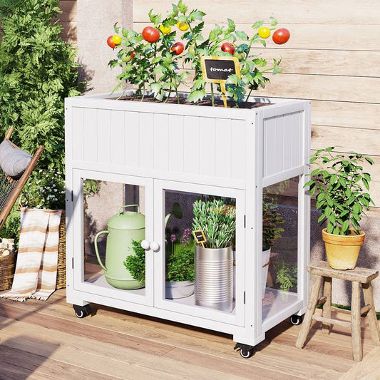 Garden Buddy Mini Greenhouse on Wheels