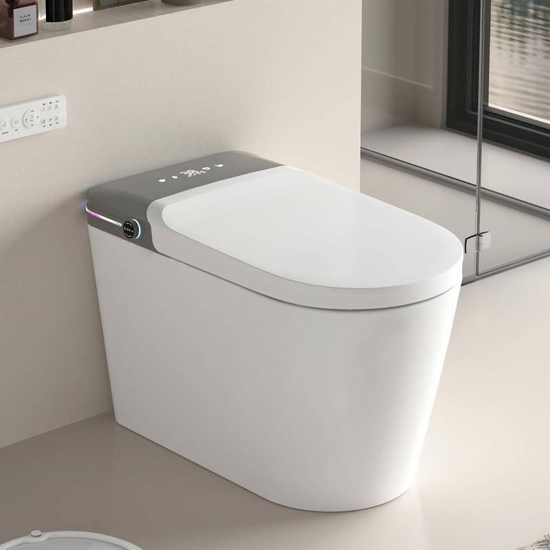 The Luxe Smart Bidet Toilet