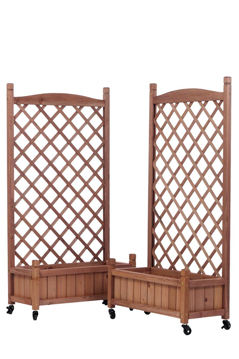 Garden Oasis Duo: Raised Planter with Climbing Trellis