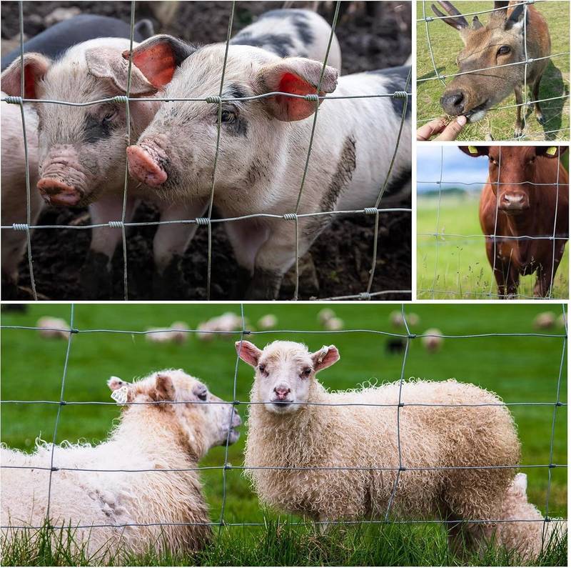 Premium Farm Fencing: Heavy-Duty Galvanized Wire for Livestock Protection