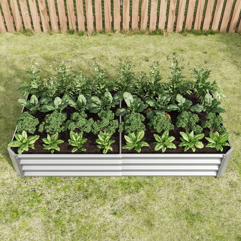 Shiny Silver Garden Bed for Fresh Greens