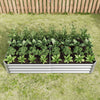 Shiny Silver Garden Bed for Fresh Greens