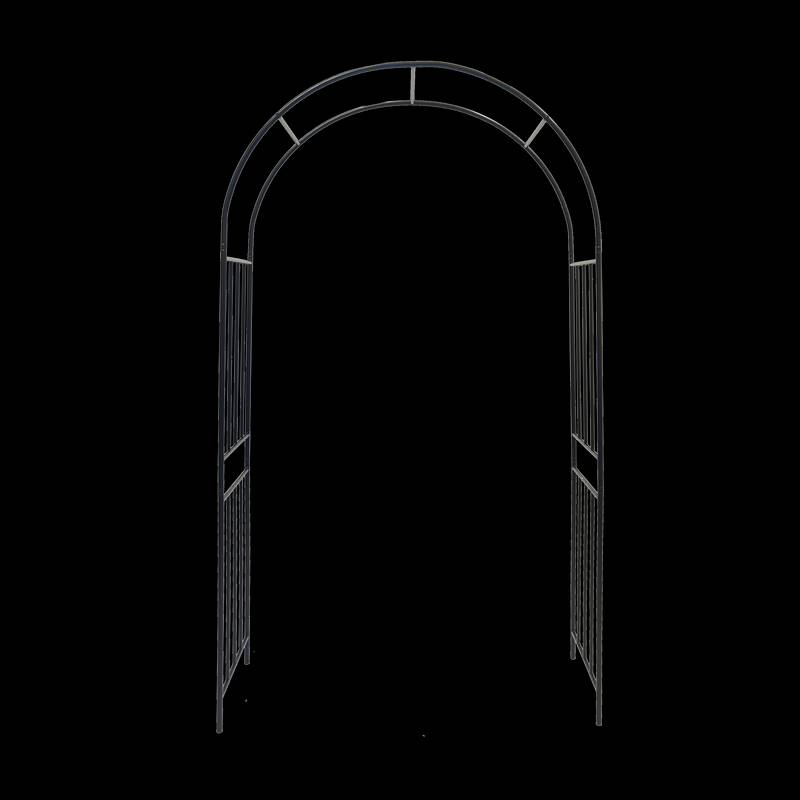 Elegant Climbing Rose Arch