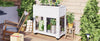 Garden Buddy Mini Greenhouse on Wheels