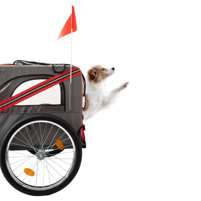 PawTrail Adventure Stroller