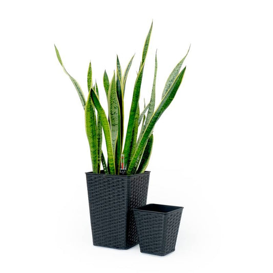 Smart Wicker Planter Duo - Self-Watering for Your Home and Garden