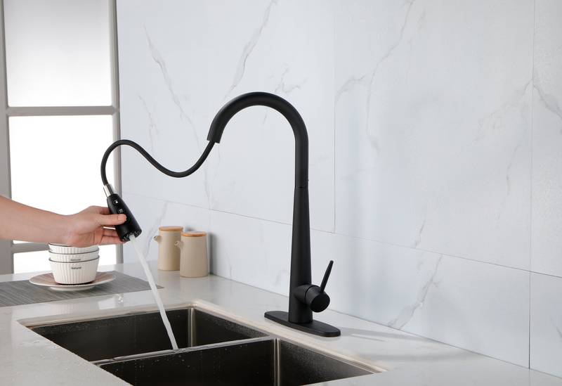 Sleek Pull-Down Kitchen Faucet