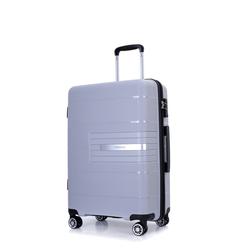 Silver Spin & Secure Luggage Set