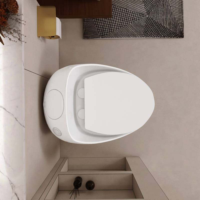 Sleek Egg-Shaped Toilet in Glossy White