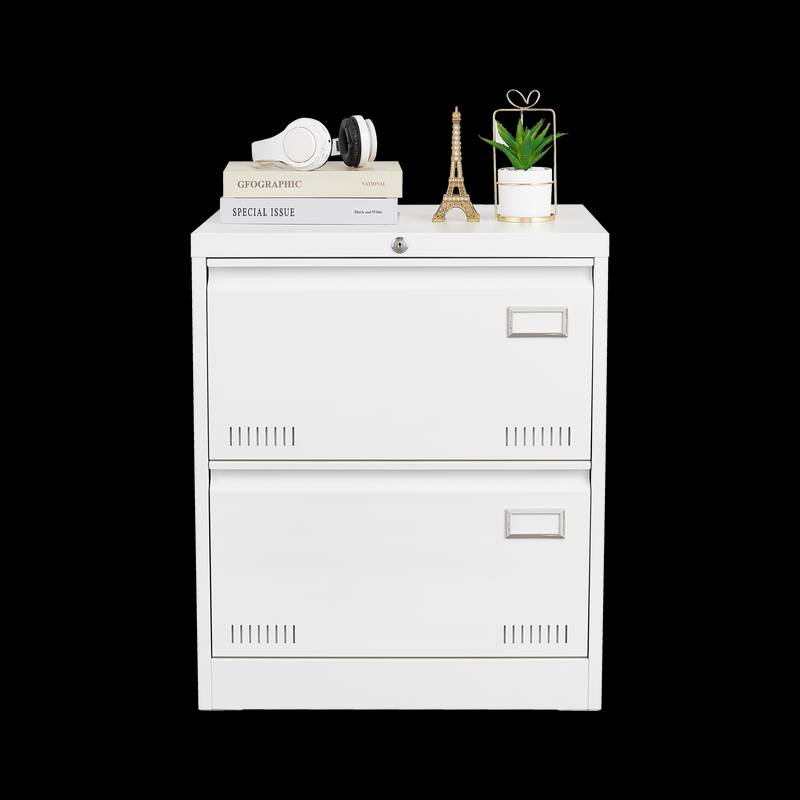 Secure Sleek Filing Cabinet - Stylish 2-Drawer Organizer