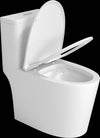 Premium One-Piece Toilet with Top Accessories
