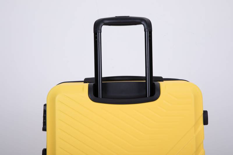 Sunny Spinner Suitcase Set
