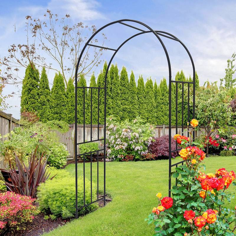 Elegant Climbing Rose Arch