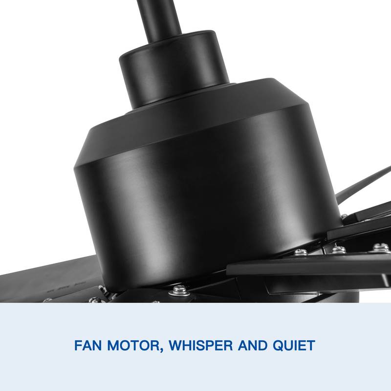 Bright Breeze: Oversized LED Ceiling Fan with Sleek Black Blades