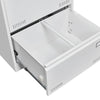 Secure Sleek Filing Cabinet - Stylish 2-Drawer Organizer