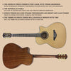 Vibrant Spruce Acoustic Guitar for Beginners