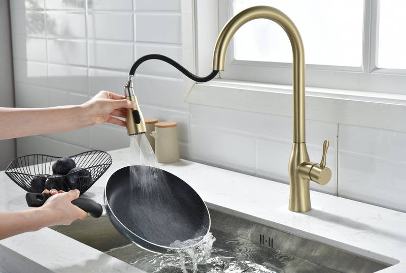 Gold Pull-Down Kitchen Faucet