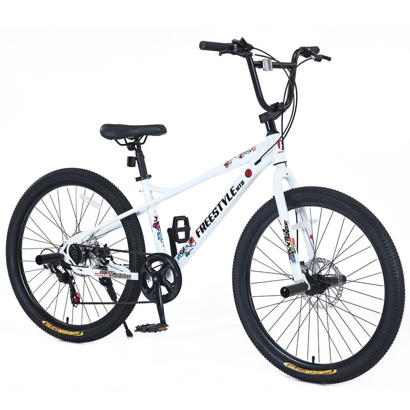 Adventure Cruiser Kids Bike with Dual Disc Brakes