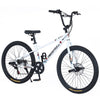 Adventure Cruiser Kids Bike with Dual Disc Brakes