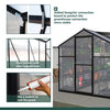 Backyard Oasis Greenhouse Kit