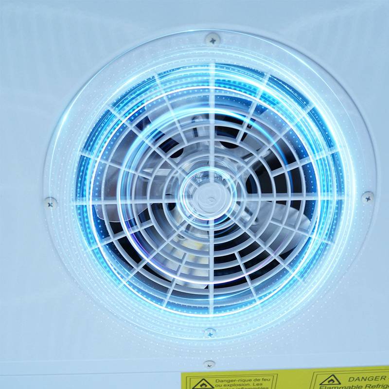 Chilly Display Freezer with Swing Doors and LED Lighting