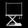 GroomMaster Electric Pet Table