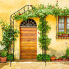 Elegant Climbing Arch for Gardens