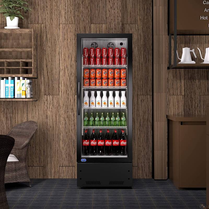 Chill & Shine Glass Door Fridge