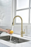 Gold Pull-Down Kitchen Faucet