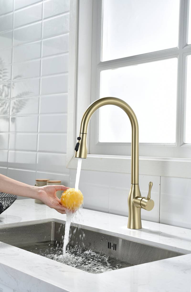 Gold Pull-Down Kitchen Faucet