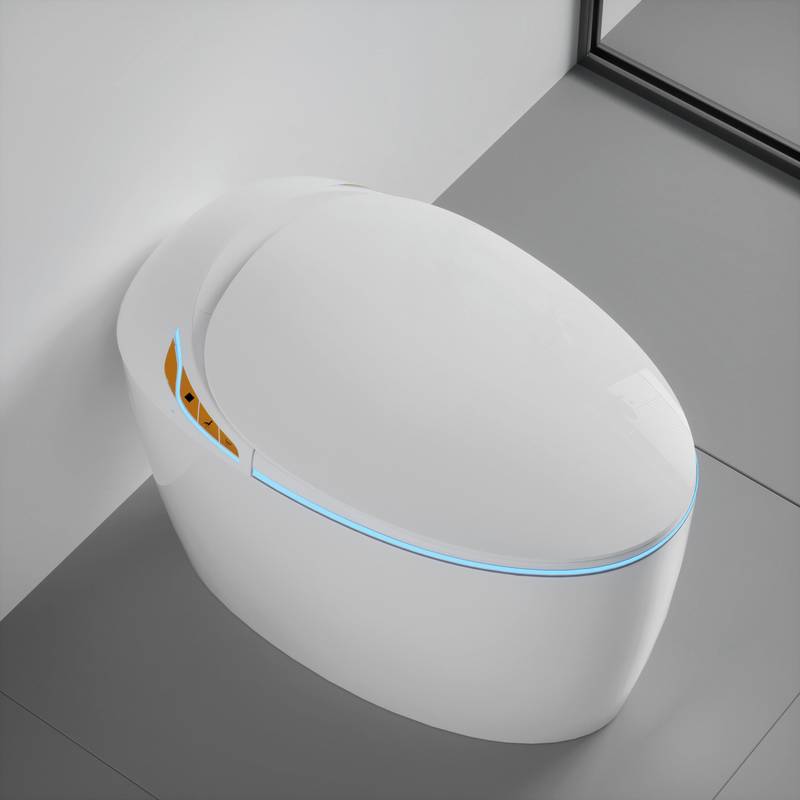 Smart Bidet Toilet: Luxury Comfort & High-Tech Features