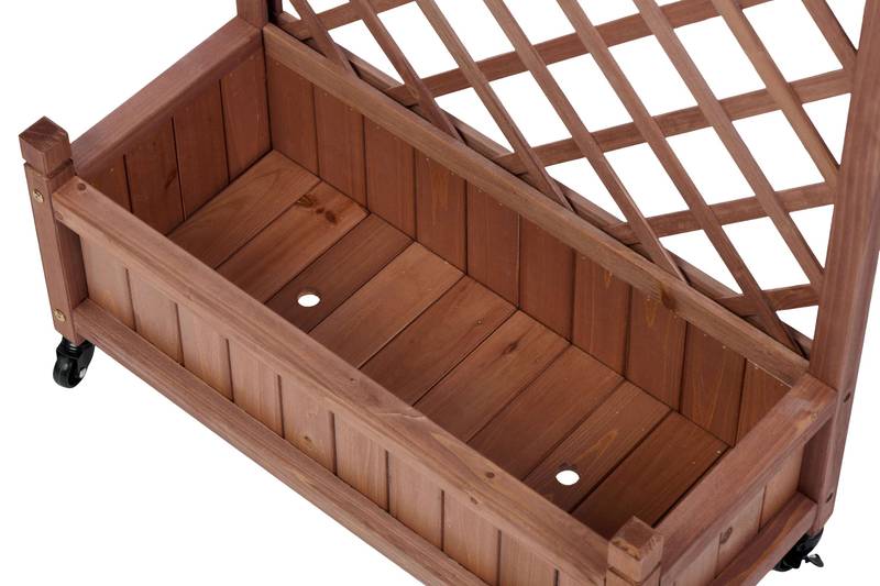 Garden Oasis Duo: Raised Planter with Climbing Trellis