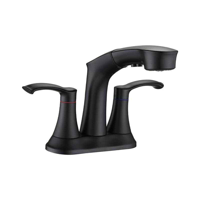 Matte Black Pull-Out Kitchen Faucet