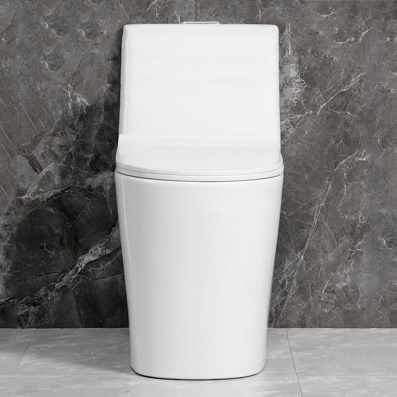 Sleek Dual Flush One-Piece Toilet with Soft-Close Seat