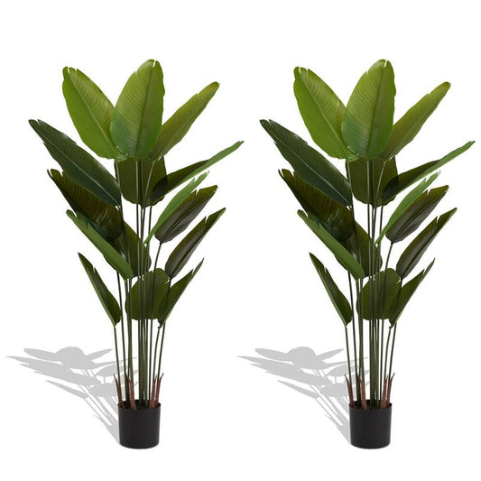 Traveler's Banana Leaf Décor Set